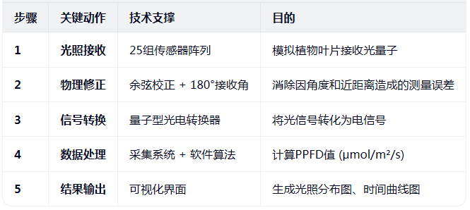 8bf46152-203d-47a4-8f64-555cc881cc76.png